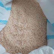 برنج دم سیاه ویسیان خرم آباد