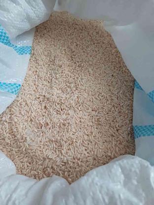 برنج دم سیاه ویسیان خرم آباد در گروه خرید و فروش خدمات و کسب و کار در لرستان در شیپور-عکس1