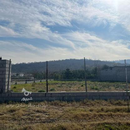 130 متر شرایط اقساطی بدون سود و بهره و معاوضه در گروه خرید و فروش املاک در مازندران در شیپور-عکس1