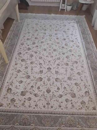 فرش نو نو تیر 1402 خریداری شده در گروه خرید و فروش لوازم خانگی در مازندران در شیپور-عکس1
