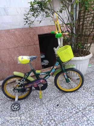 دوچرخه بچگانه سایز 16 ، سبز ، زیبا ، شرایطی هم در گروه خرید و فروش ورزش فرهنگ فراغت در مازندران در شیپور-عکس1