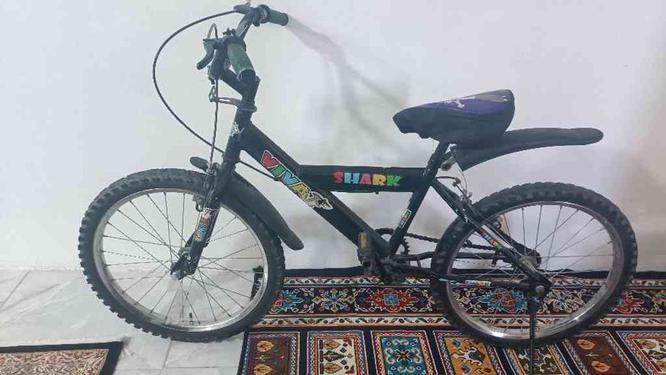 دوچرخه 20سالم در گروه خرید و فروش ورزش فرهنگ فراغت در تهران در شیپور-عکس1