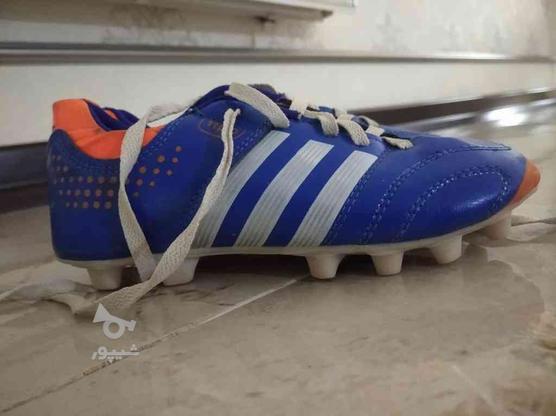 کفش فوتبال چمن مدل 11pro در گروه خرید و فروش ورزش فرهنگ فراغت در کرمانشاه در شیپور-عکس1