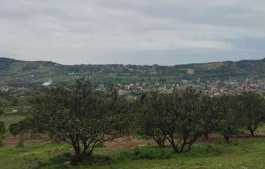 فروش زمین کشاورزی 410 متر در تنگ لته