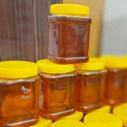 عسل طبیعی شما بیا درست خالی بر نمیگردی در گروه خرید و فروش خدمات و کسب و کار در خراسان رضوی در شیپور-عکس1