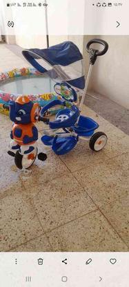 سه چرخه مدل فیلی بچه گانه در گروه خرید و فروش ورزش فرهنگ فراغت در کرمان در شیپور-عکس1