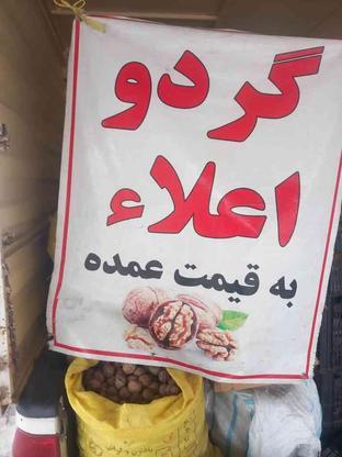 گردو خوانسار.چرب.یک دست و ارگانیک و الو بخارا ( لاکچری خورها در گروه خرید و فروش خدمات و کسب و کار در بوشهر در شیپور-عکس1
