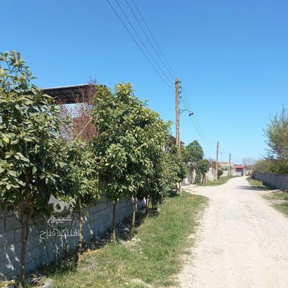 فروش زمین مسکونی 1600 متر در سید محله در گروه خرید و فروش املاک در مازندران در شیپور-عکس1