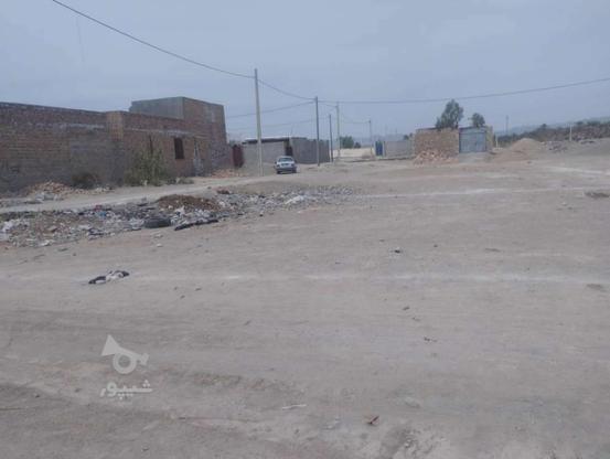 زمین 200 متری جهاد آباد در گروه خرید و فروش املاک در سیستان و بلوچستان در شیپور-عکس1