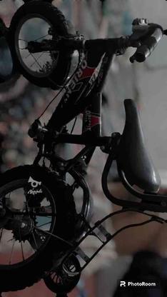 دوچرخه 12بچه گانه در گروه خرید و فروش ورزش فرهنگ فراغت در خراسان رضوی در شیپور-عکس1