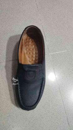 کفش دکترماخ در گروه خرید و فروش لوازم شخصی در گیلان در شیپور-عکس1