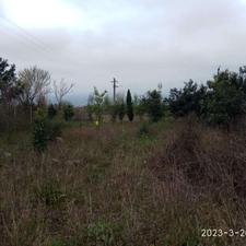 فروش زمین مسکونی 500 متر در قاضی محله