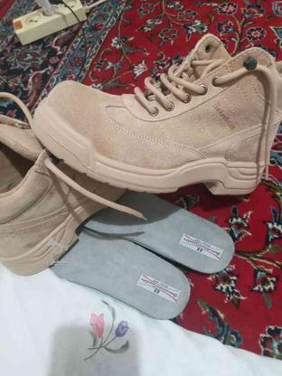 کفش بهشتیان اصل در گروه خرید و فروش لوازم شخصی در اصفهان در شیپور-عکس1