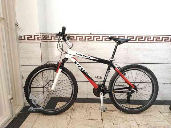 دوچرخه ویوا ورتکس در گروه خرید و فروش ورزش فرهنگ فراغت در زنجان در شیپور-عکس1