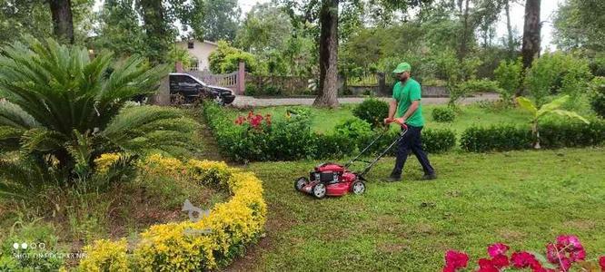 خدمات باغبانی و فضای سبز
