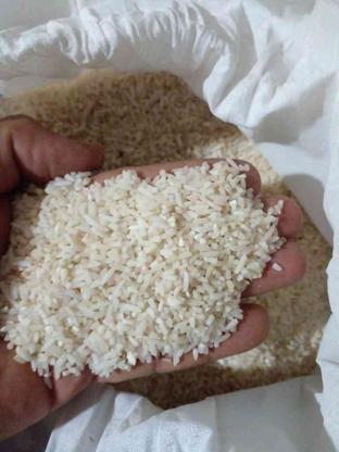 برنج دانه درشت ونیمدانه در گروه خرید و فروش خدمات و کسب و کار در گیلان در شیپور-عکس1