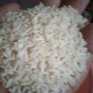 برنج بهنام امرالهی