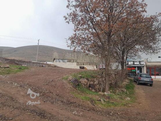 زمین در زرشک قزوین 200 متر  در گروه خرید و فروش املاک در قزوین در شیپور-عکس1