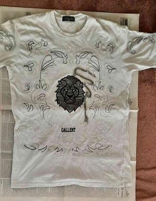 پیراهن تیشرت فقط همینا داخل انبار است در گروه خرید و فروش لوازم شخصی در تهران در شیپور-عکس1