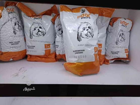فروش غذا خشک سگ زیر قیمت خرید در گروه خرید و فروش ورزش فرهنگ فراغت در مازندران در شیپور-عکس1