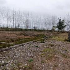 فروش زمین مسکونی 250 متر در جاده کیاشهر