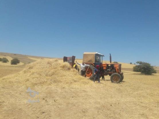 فروش زمین کشاورزی ساف نزدیک لب جاده در گروه خرید و فروش املاک در آذربایجان شرقی در شیپور-عکس1