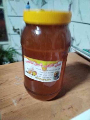 عسل طبیعی یونجه وجانا در گروه خرید و فروش خدمات و کسب و کار در قزوین در شیپور-عکس1