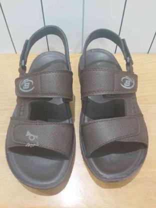 کفش تابستانه پسرانه سایز 39 در گروه خرید و فروش لوازم شخصی در مازندران در شیپور-عکس1