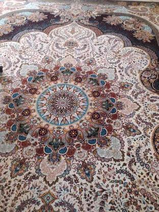 فرش درسای کویر کاشان 700 شانه 2550 در گروه خرید و فروش لوازم خانگی در اصفهان در شیپور-عکس1