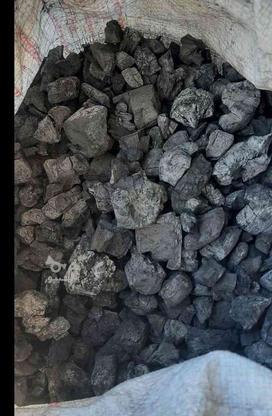 زغال درجه یک در گروه خرید و فروش خدمات و کسب و کار در لرستان در شیپور-عکس1
