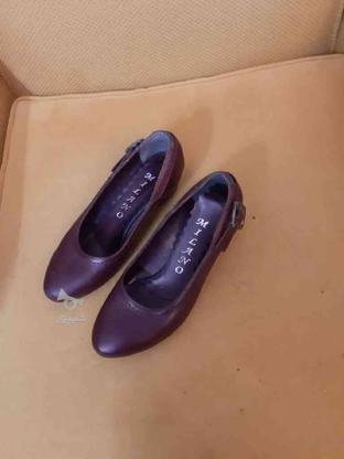 کفش زنانه،لطفا توضیحات در گروه خرید و فروش لوازم شخصی در تهران در شیپور-عکس1