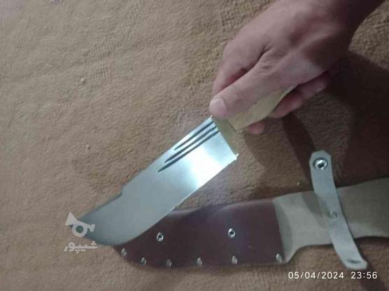 چاقو شکاری در گروه خرید و فروش ورزش فرهنگ فراغت در قزوین در شیپور-عکس1