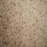 برنج طارم هاشمی گیلان ، کشت در کوهستان