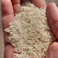 برنج هاشمی درشت