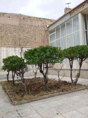خدمات باغبانی نجف آباد و حومه در گروه خرید و فروش خدمات و کسب و کار در اصفهان در شیپور-عکس1