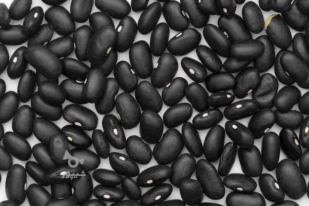 فروش لوبیا سیاه کاملا ارگانیک در گروه خرید و فروش خدمات و کسب و کار در البرز در شیپور-عکس1
