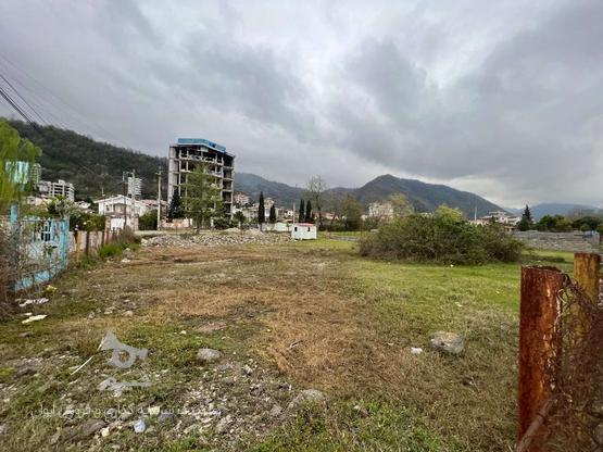 فروش زمین مسکونی 900 متر در سفید تمشک در گروه خرید و فروش املاک در مازندران در شیپور-عکس1