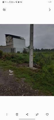 200متر مربع زمین مسکونی در گروه خرید و فروش املاک در گیلان در شیپور-عکس1