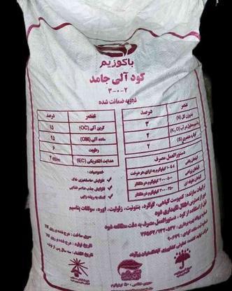 کود شیمیایی در گروه خرید و فروش صنعتی، اداری و تجاری در البرز در شیپور-عکس1