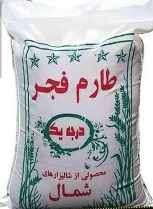 برنج طارم فجرزیرقیمت در گروه خرید و فروش خدمات و کسب و کار در اصفهان در شیپور-عکس1