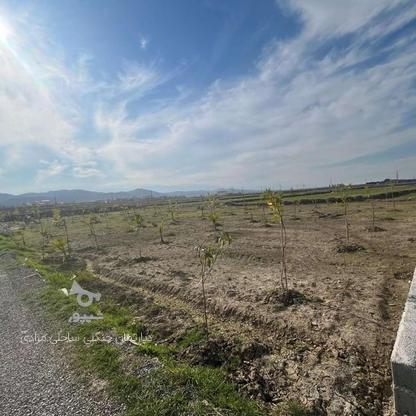فروش زمین 150 متر اقساطی بدون سود و بهره در گروه خرید و فروش املاک در مازندران در شیپور-عکس1