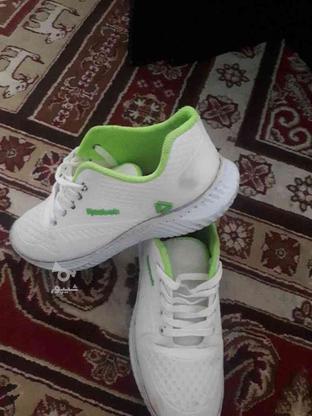 کفش  پیاده روی   43،44 فقط 100 در گروه خرید و فروش لوازم شخصی در تهران در شیپور-عکس1