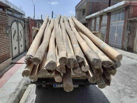 چوب برای فروش در گروه خرید و فروش خدمات و کسب و کار در آذربایجان غربی در شیپور-عکس1