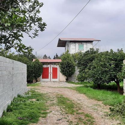 950 متر باغچه دو نبش، برق و چاه، کیلومتر3 جاده دریا در گروه خرید و فروش املاک در مازندران در شیپور-عکس1