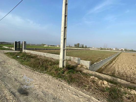 135متر زمین اماده سند تکبرگ اقساط در گروه خرید و فروش املاک در مازندران در شیپور-عکس1