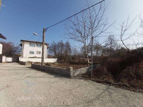 فروش زمین مسکونی 320 متر در خط هشت در گروه خرید و فروش املاک در مازندران در شیپور-عکس1