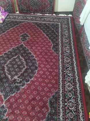4تخته فرش 6متری در گروه خرید و فروش لوازم خانگی در کردستان در شیپور-عکس1