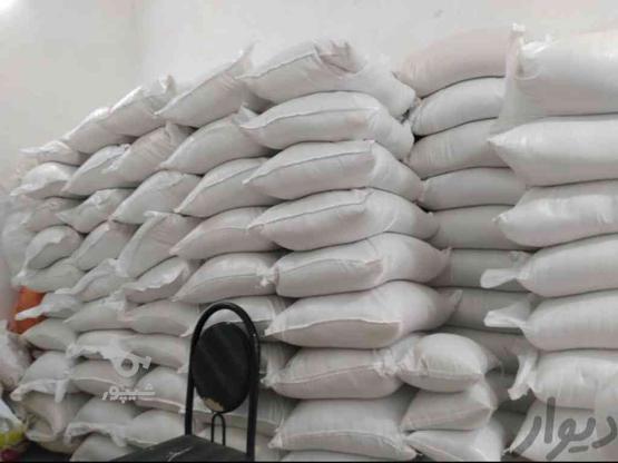 برنج طارم هاشمی در گروه خرید و فروش خدمات و کسب و کار در خراسان رضوی در شیپور-عکس1