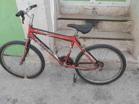 دوچرخه 22 ارزون در گروه خرید و فروش ورزش فرهنگ فراغت در فارس در شیپور-عکس1