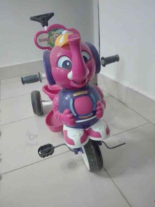 سه چرخ ( سه چرخه ) کودک طرح فیل دامبو dumbo در گروه خرید و فروش ورزش فرهنگ فراغت در خراسان رضوی در شیپور-عکس1